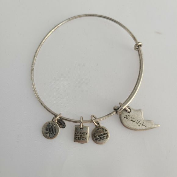 Alex and Ani Sterling Sliver "Best" friends Charm Bracelet - Picture 1 of 6